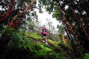 BIB: 
                            <button type="button" onclick="openModal(26202231)" class="btn btn-primary btn-sm float-right btn-popup" data-toggle="modal" data-target=".modal-high-quality">
                        <i class="fas fa-shopping-cart"></i> Add to Cart
                    </button>
                                            <button type="button" onclick="isThisMe(26202231, true)" class="btn btn-success btn-sm float-right btn-popup btn-isme hidden" data-toggle="tooltip" data-placement="bottom" title="นี่คือรูปของคุณใช่ไหม คลิกที่นี่เพื่อเอาเข้าอัลบั้ม">
                        <i class="fas fa-plus"></i> Add to album
                    </button>
                    <button type="button" onclick="isThisMe(26202231, false)" class="btn btn-warning btn-sm float-right btn-popup btn-isnotme hidden">
                        <i class="fas fa-ban"></i> Remove from album
                    </button>